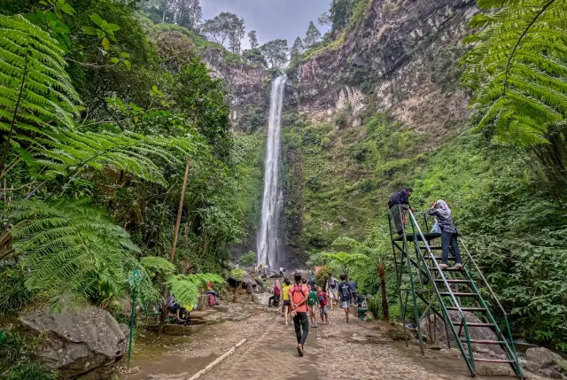 coban rondo photo
