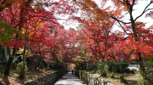 興聖寺