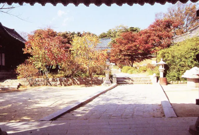 강원 단풍 명소 낙산사