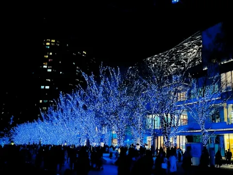 イルミネーション2026】冬のおすすめスポット10選＆楽しみ方を徹底解説