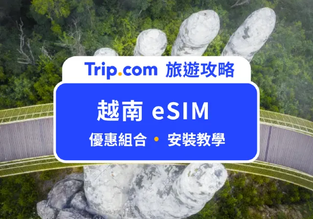 越南 eSIM