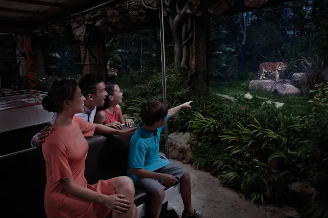 Attractions in Singapore - Night Safari