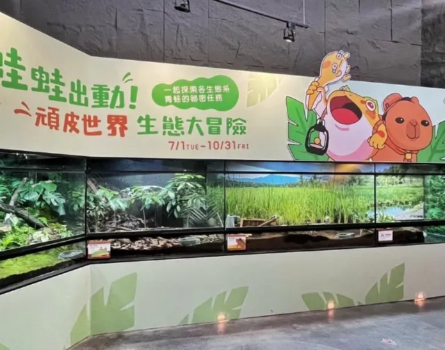 台南市頑皮世界「青蛙出任務」
