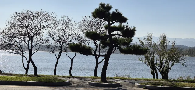 경포대