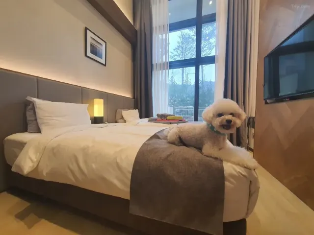 평창 가볼만한 곳 라마다호텔스위트 평창