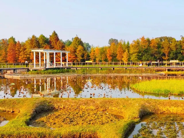 天水圍濕地公園