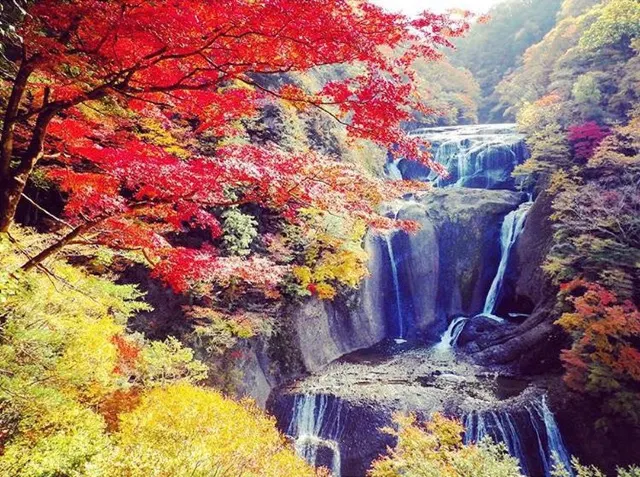 関東紅葉2025