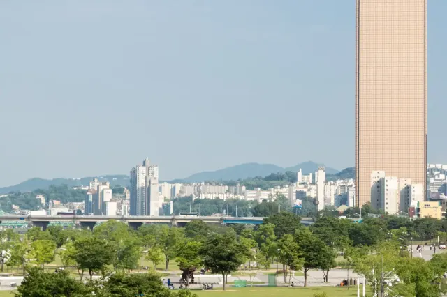 서울 벚꽃 개화시기 여의도