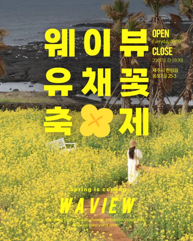 웨이뷰 유채꽃