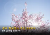 2024 경주 벚꽃 개화시기와 벚꽃명소 추천 BEST4