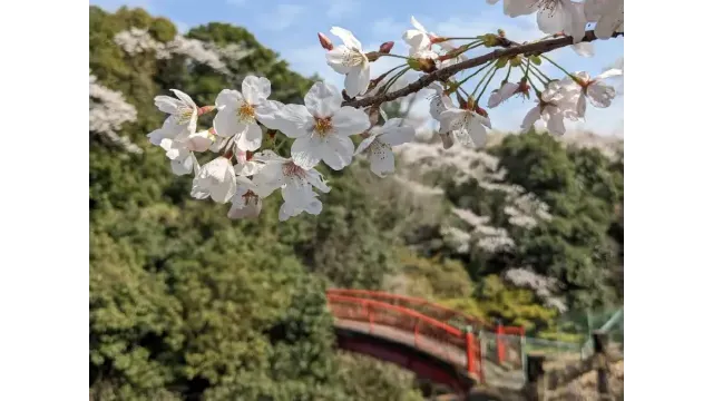 大井関公園