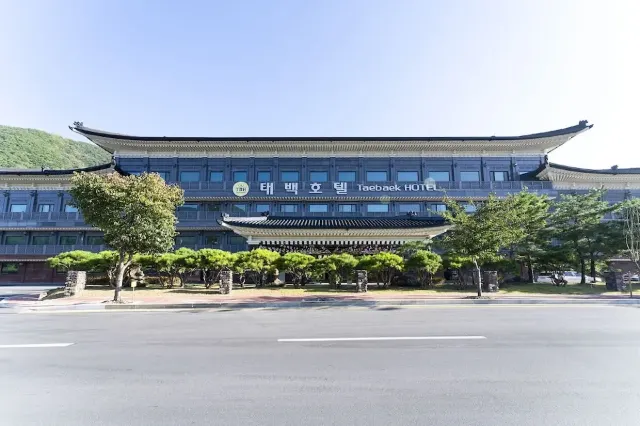 눈꽃 축제 태백 추천 숙소