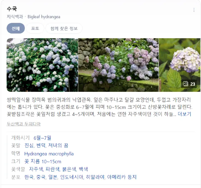 거제수국축제
