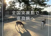 【宿泊記】全国旅行支援割を使って冬の奈良を楽しむ1泊2日旅
