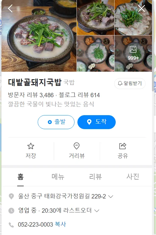 울산장미축제