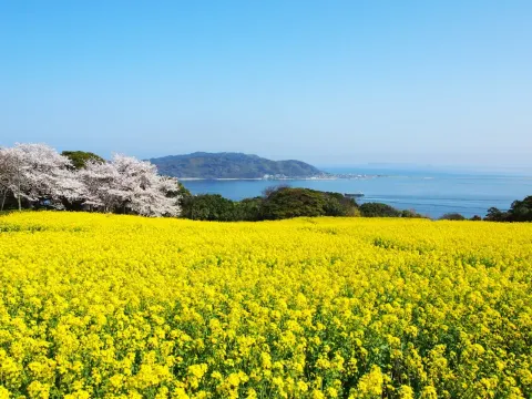 のこのしまアイランドパーク