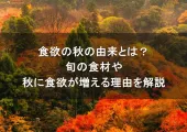2026年食欲の秋の由来とは?旬の食材や秋に食欲が増える理由を解説
