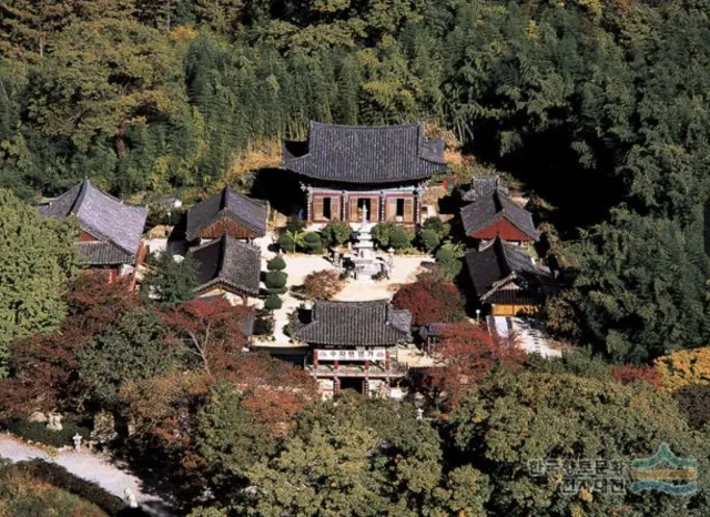 부산 단풍 명소 장안사