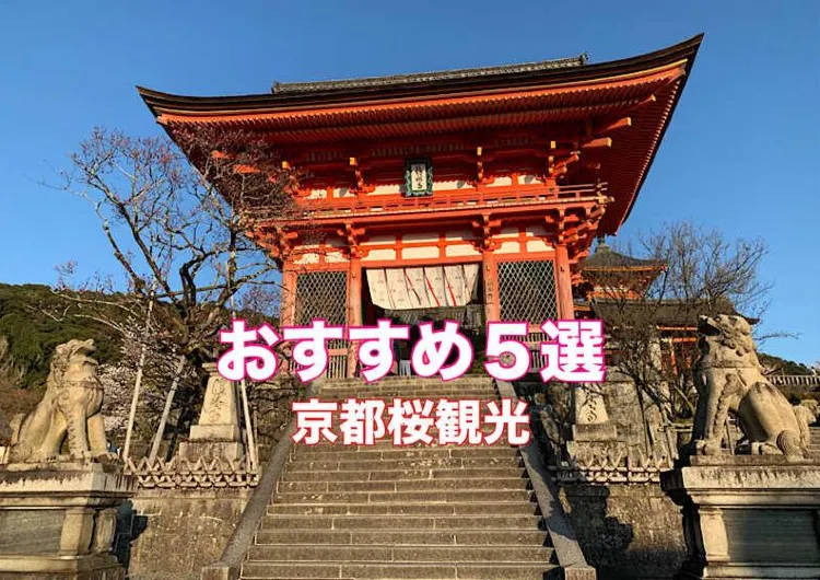 京都の桜名所：春の美しさを満喫する　　　　5つの穴場スポット