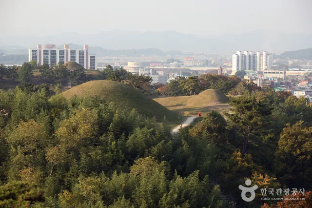 함안 가볼만한 곳 함안 말이산 고분군