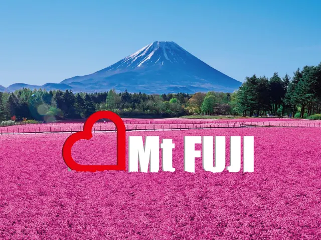 「Mt.FUJI オブジェ」