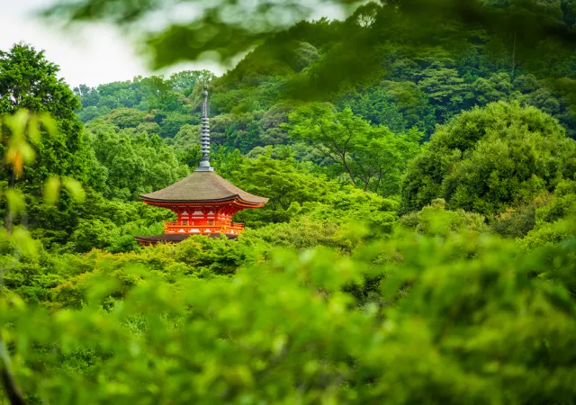 일본 여름 여행, 교토, 나라