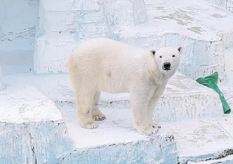【動物園】大阪魂を感じる安くて楽しい動物園🦁