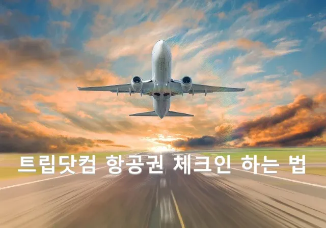 트립닷컴 항공권 체크인 하는 법