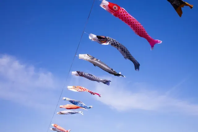 濱松祭風箏大戰