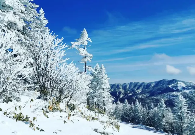 志賀高原地區滑雪場