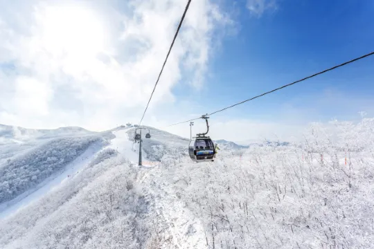 정선 하이원리조트 스키장