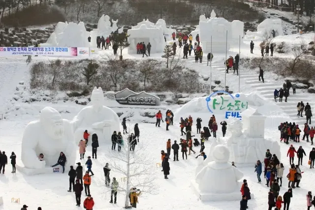 눈꽃 축제 태백산 눈축제