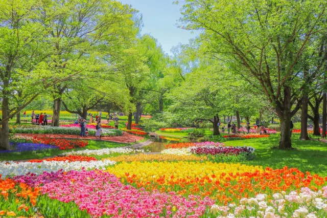 GW穴場2026】混雑を避けて楽しむ絶景スポット！ゴールデンウィークに