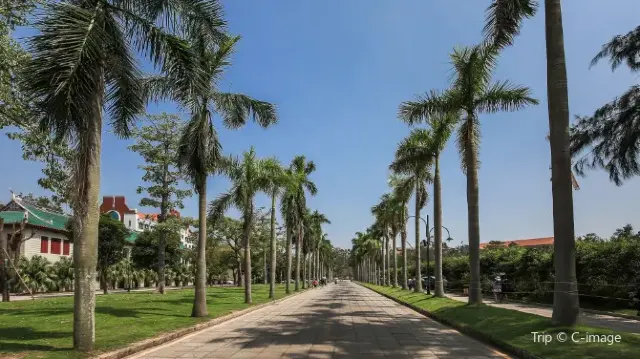 廈門大學