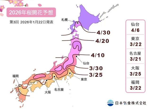 櫻花開放花期預測