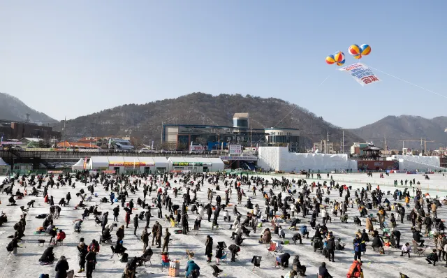 평창 송어축제 낚시