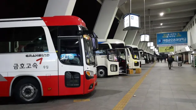 대구 ktx vs 대구 버스
