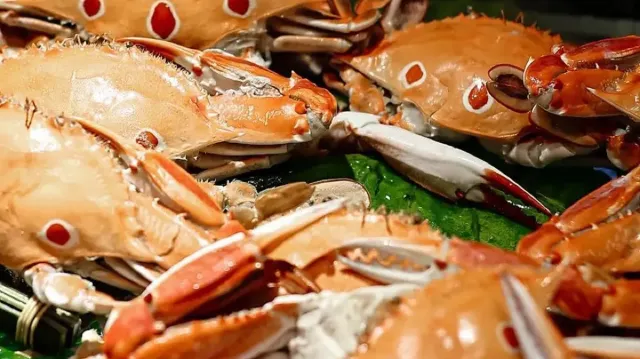 茹曦飯店 SUNNY BUFFET