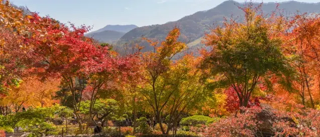 화담숲 이용 요금