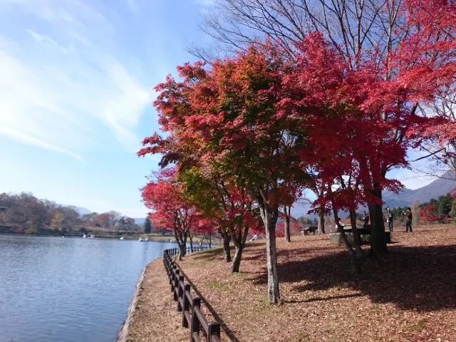 1mj5d12000c1fzwqu4ABC.jpg