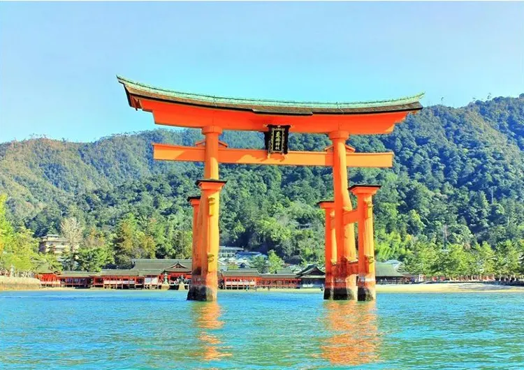 【神社⛩️】一文看清日本神社基本知識 參拜方法/建築解析/特色神社