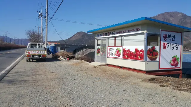 양산 딸기 농장 체험