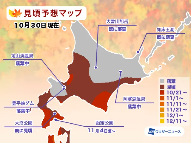 北海道地區紅葉