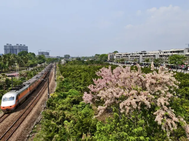 高雄楠梓德民新橋