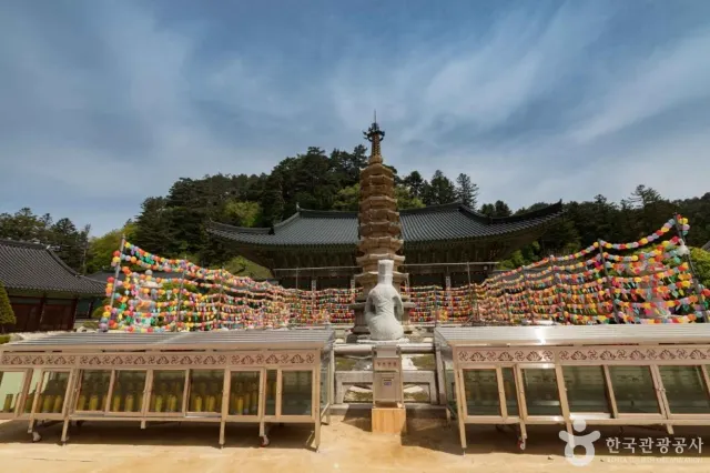 평창 가볼만한 곳 월정사
