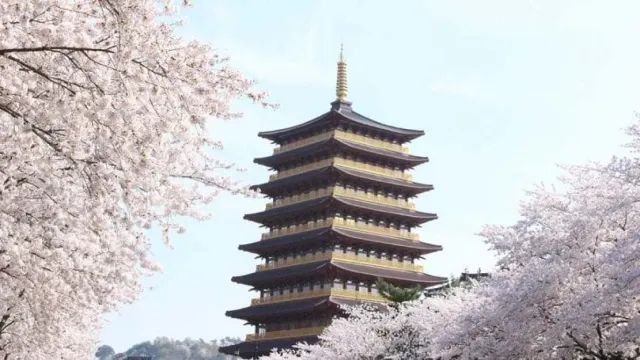 국내 여행지 추천, 경주