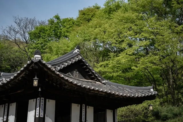 식목일 나무