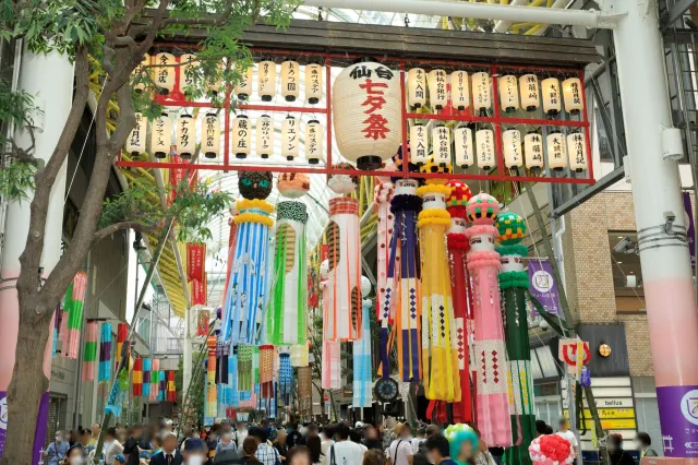 仙台七夕祭介紹