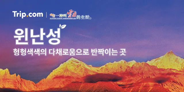 중국 윈난 여행