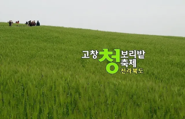 고창 청보리밭축제